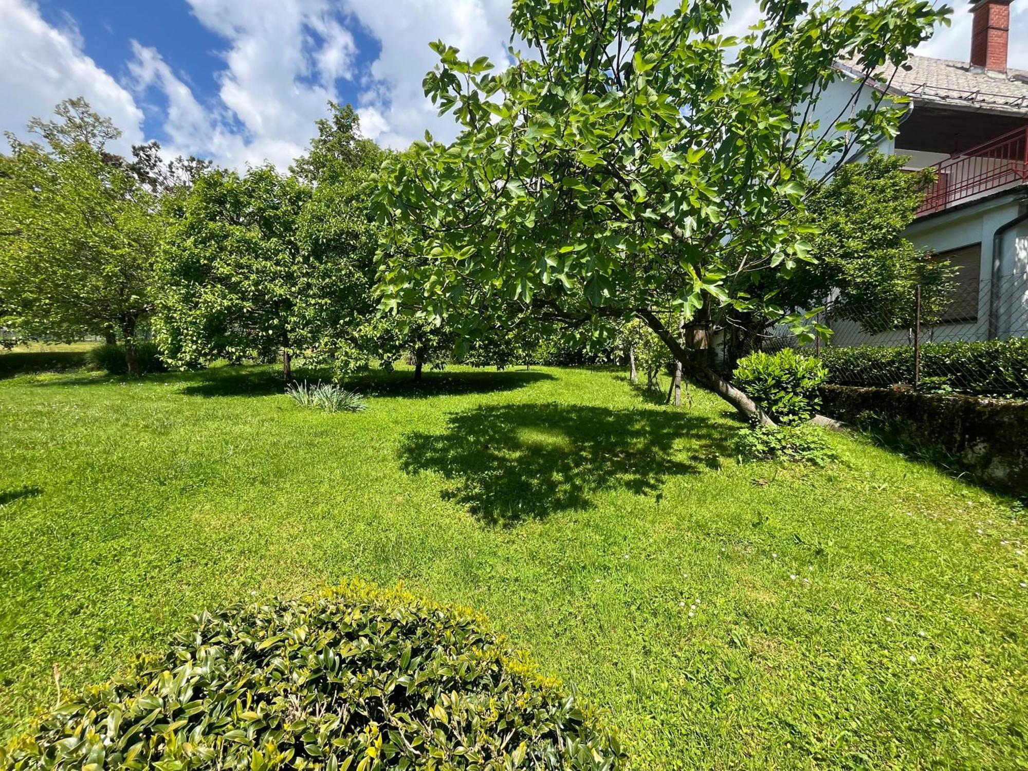 Apartments And Rooms Tajcr Bovec Εξωτερικό φωτογραφία
